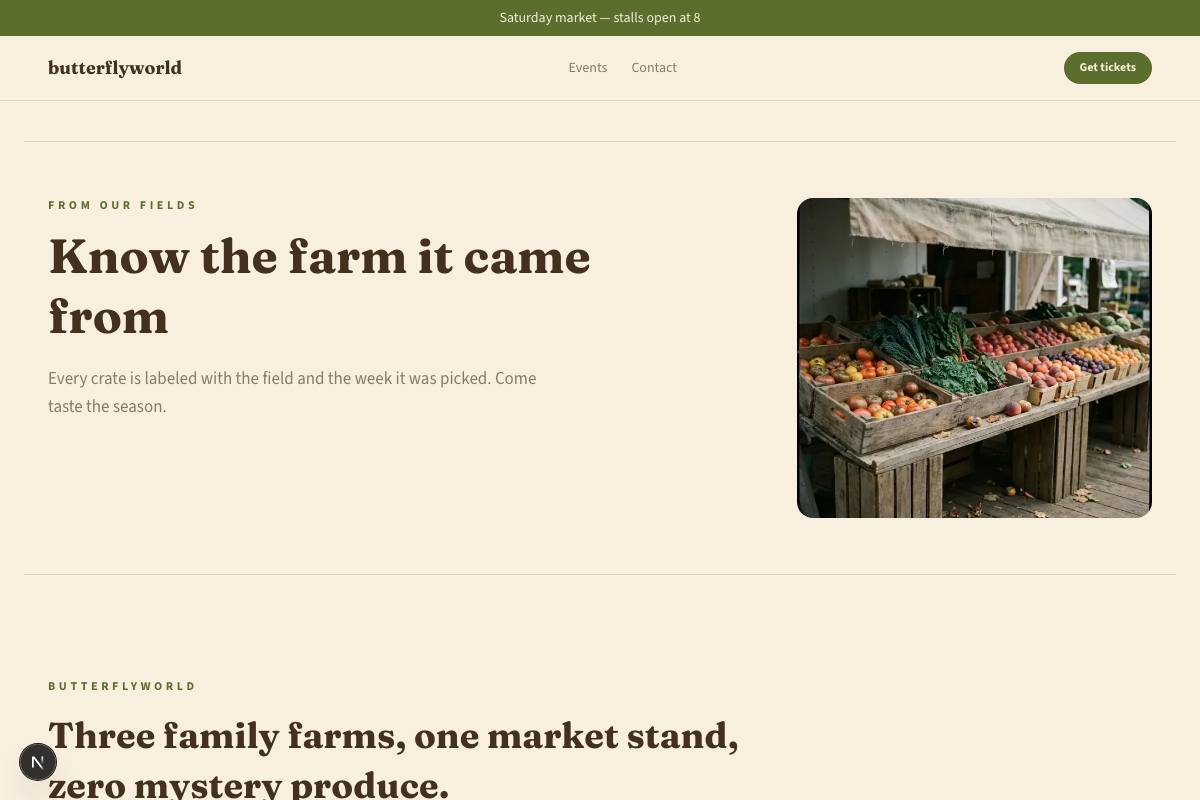 Sunfield Market look preview